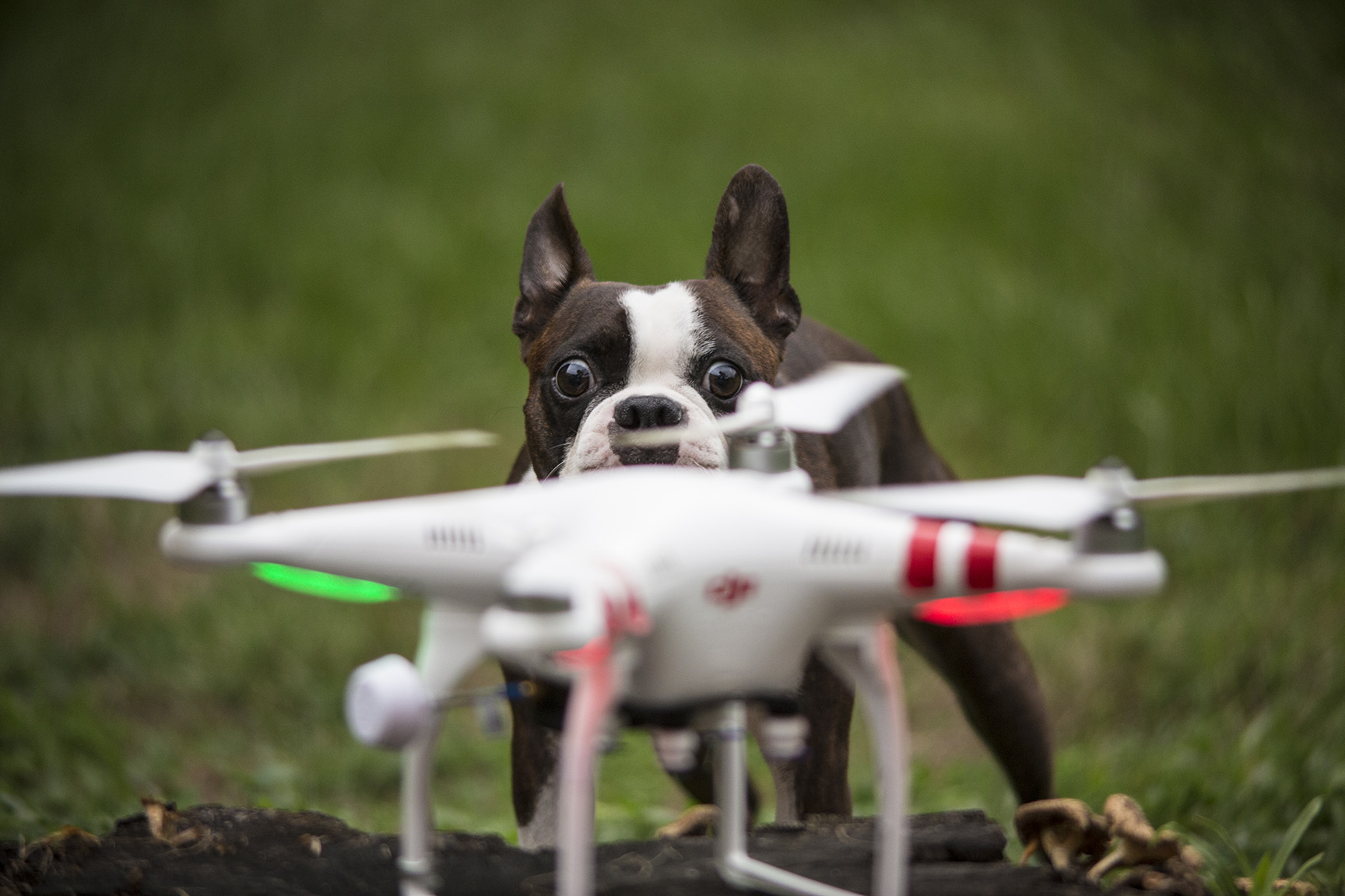 juan-perro-drone